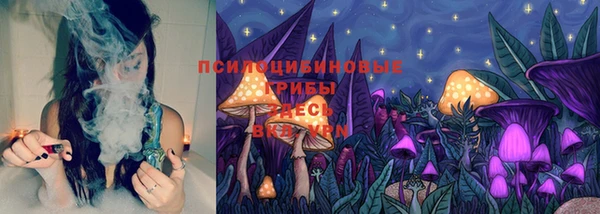 PSILOCYBIN Беломорск